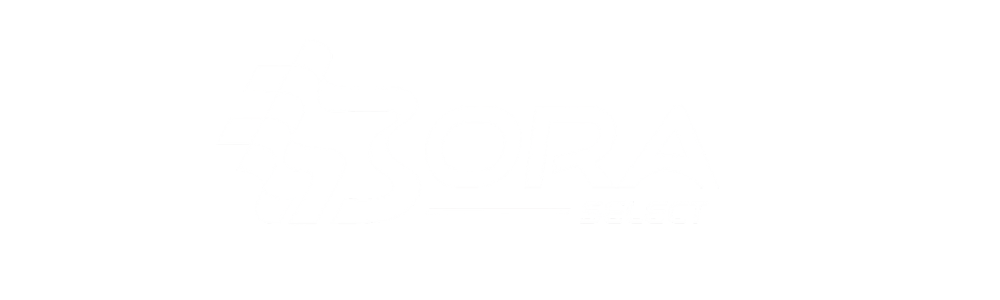 Bora Select Logo